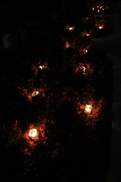 Phoenicia Earth Hour